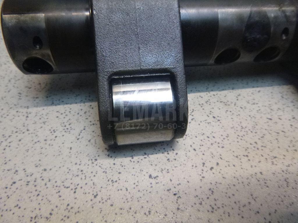 Ось коромысел