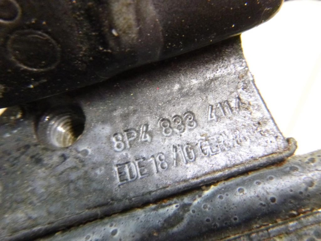 Петля двери задней левой нижняя