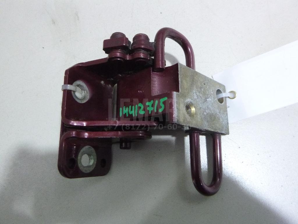 Петля двери задней правой нижняя