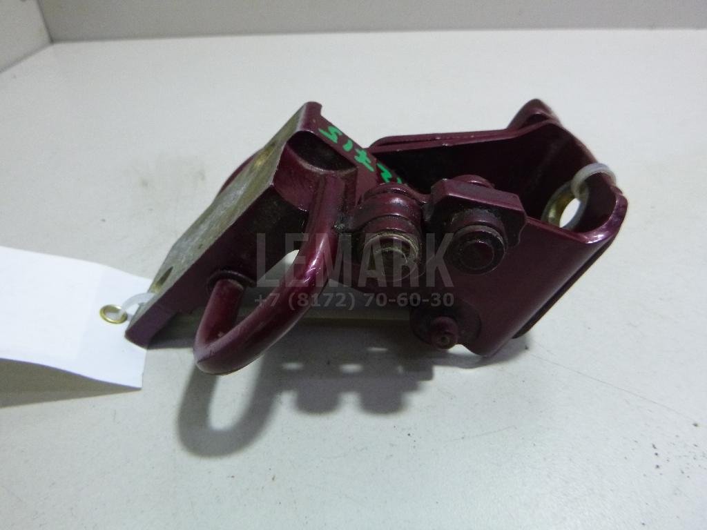 Петля двери задней правой нижняя