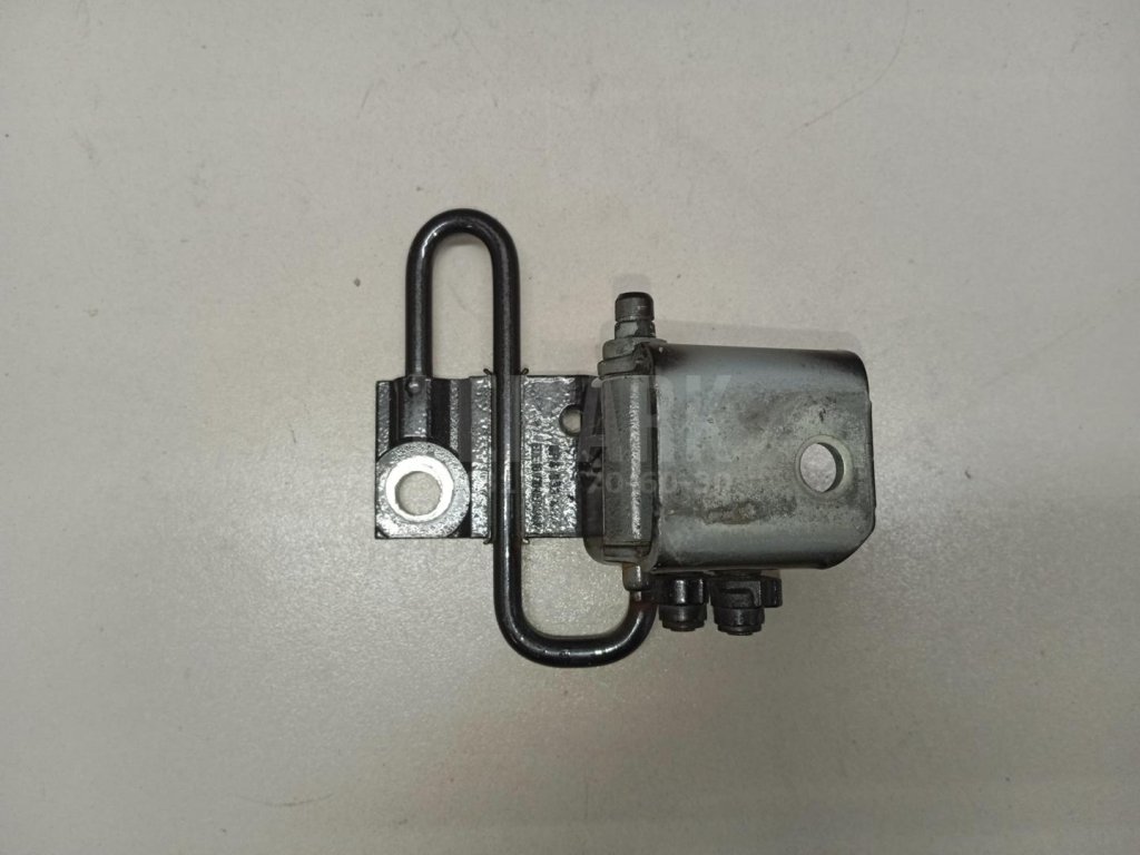 Петля двери задней левой нижняя