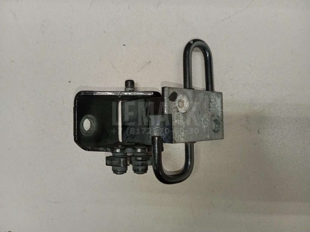 Петля двери задней левой нижняя