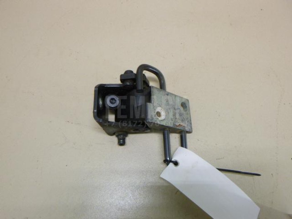 Петля двери задней правой нижняя