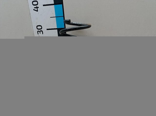 Пружина передняя