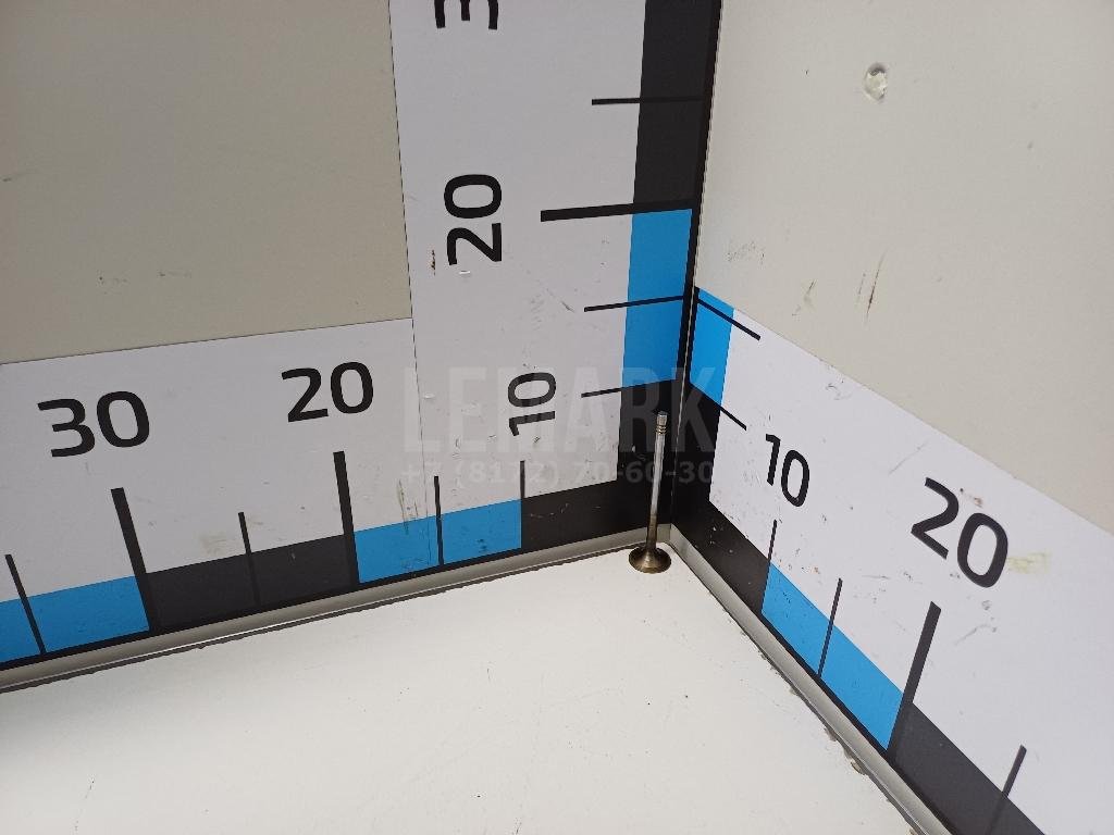 Клапан выпускной