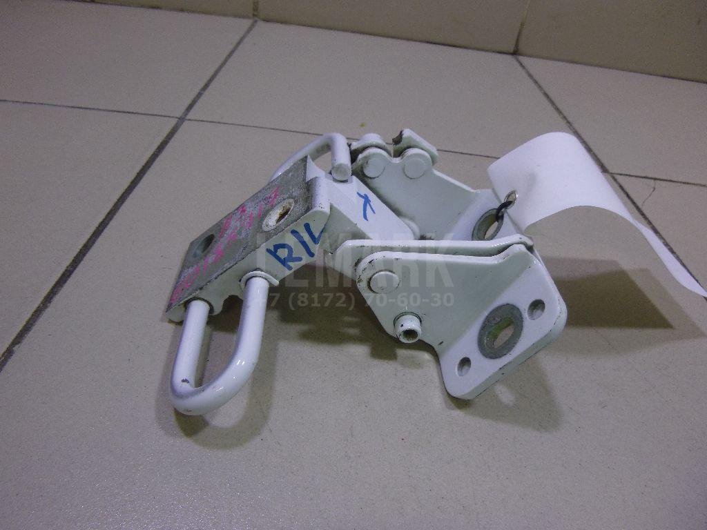 Петля двери задней левой нижняя