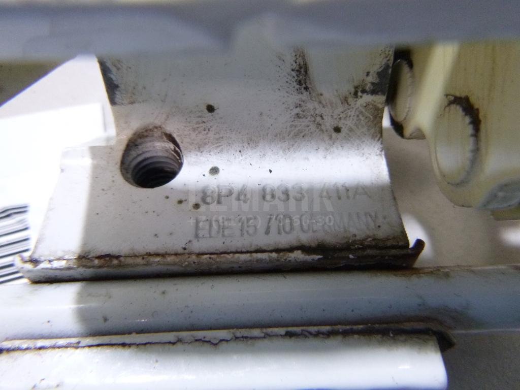 Петля двери задней левой нижняя