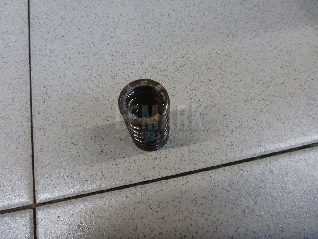 Пружина клапана