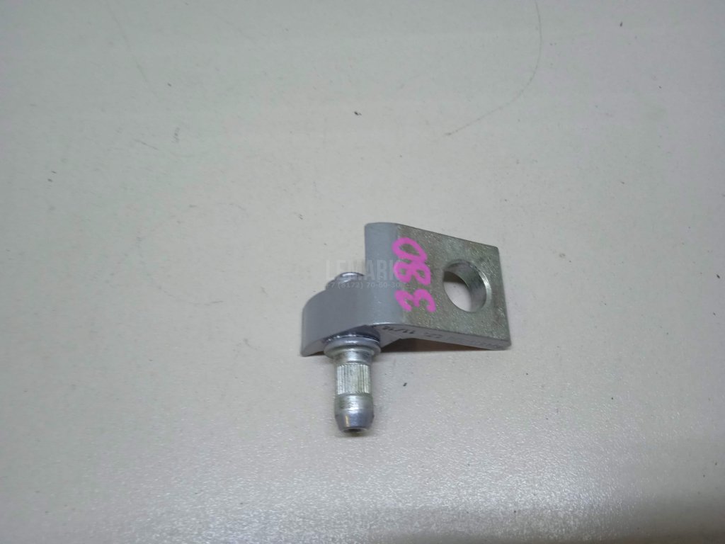 Петля двери для  Audi A5/S5 (F5) 2017