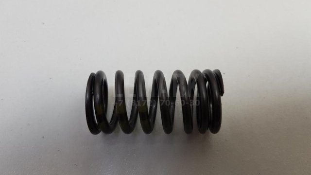 Пружина клапана