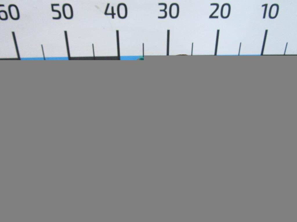 Цапфа (п.з.к.) для  Audi A5/S5 (F5) 2017