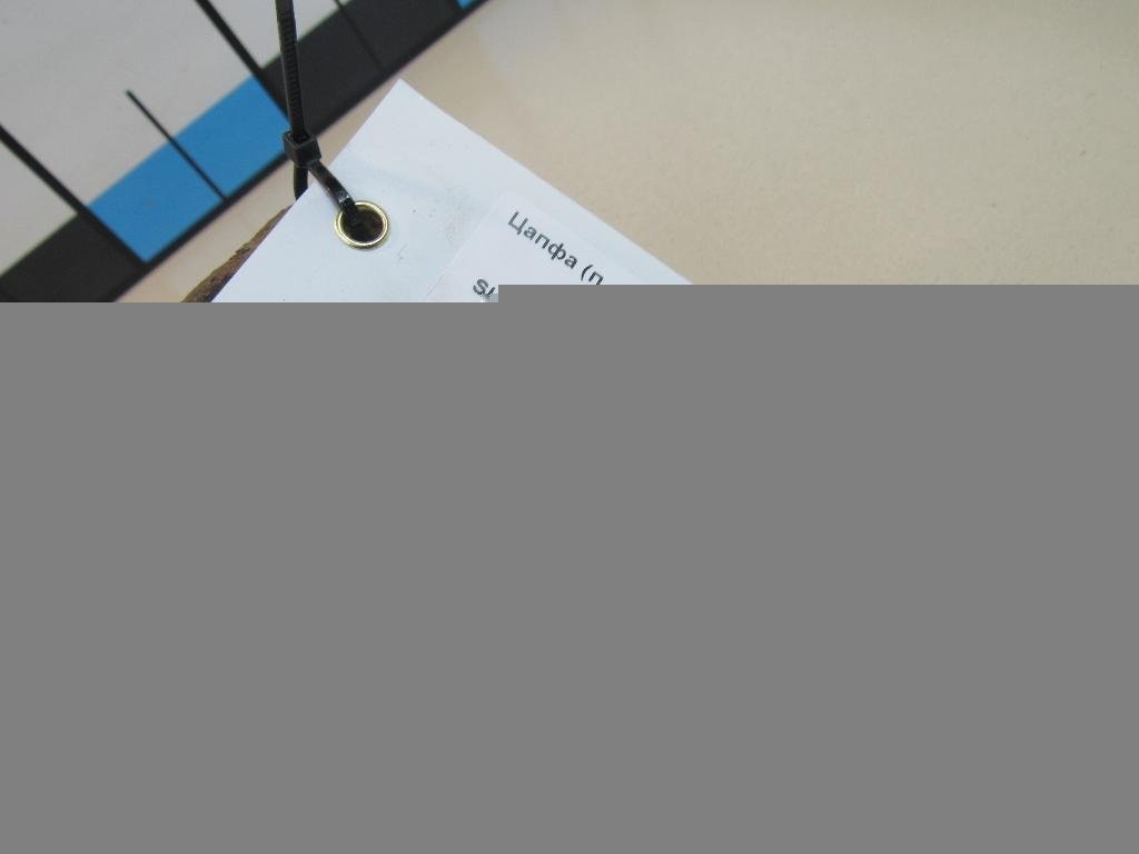 Цапфа (п.з.к.) для  Audi A5/S5 (F5) 2017