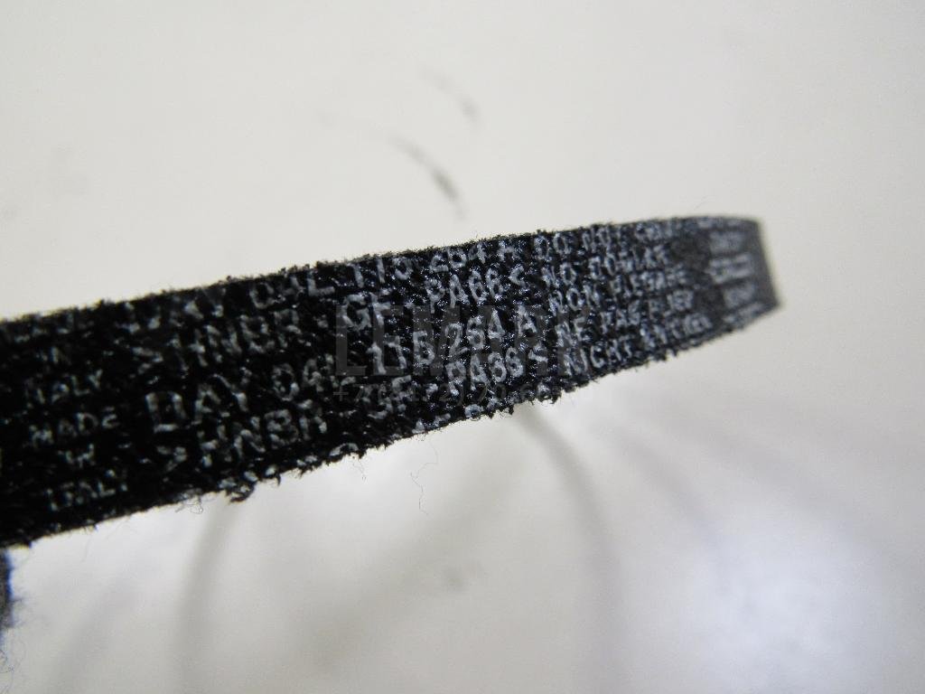 Ремень масляного насоса зубчатый