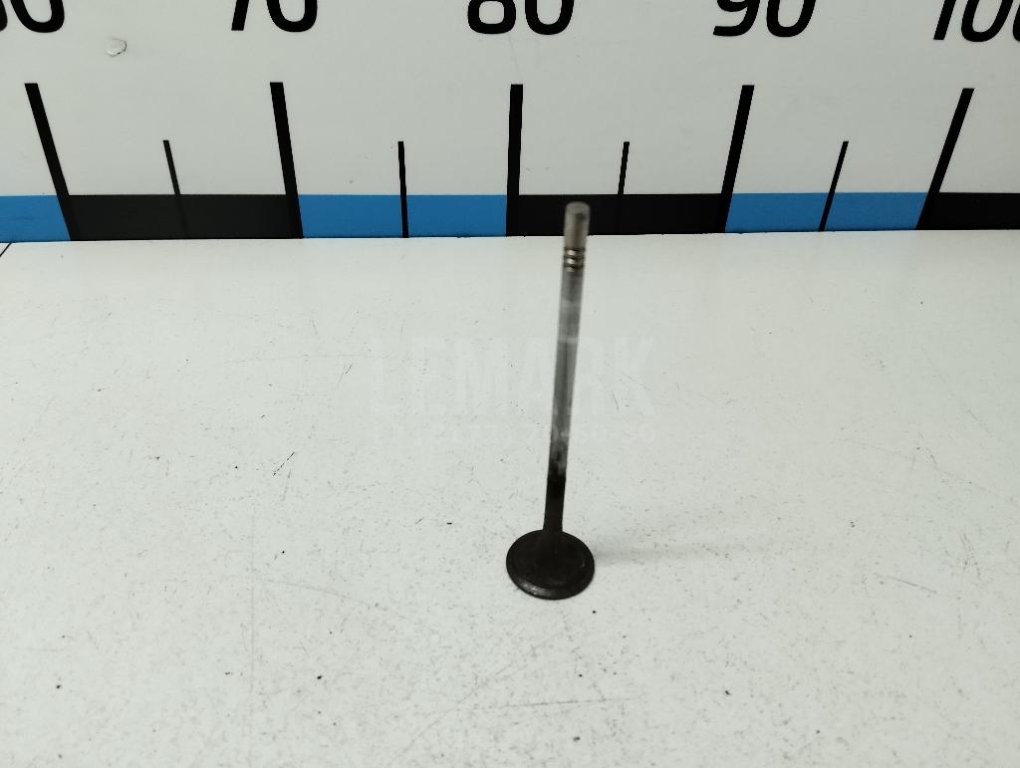 Клапан впускной