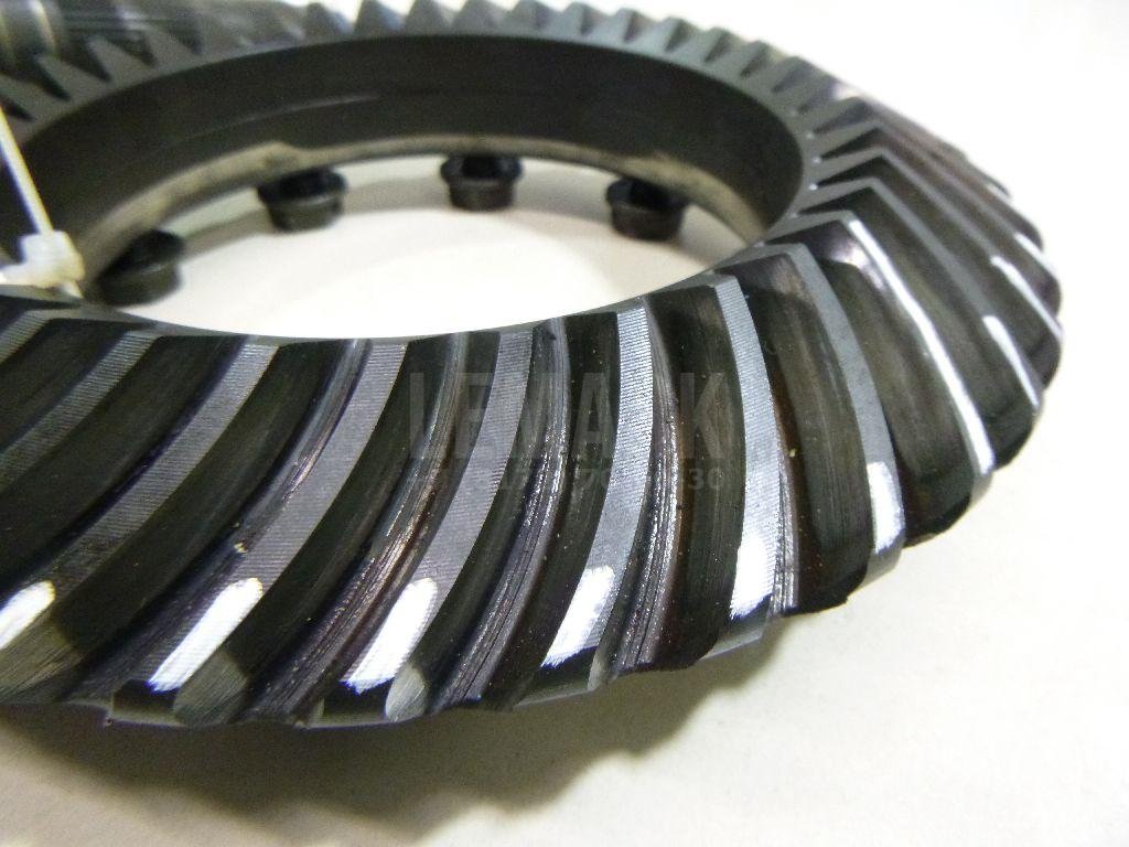 Пара главная