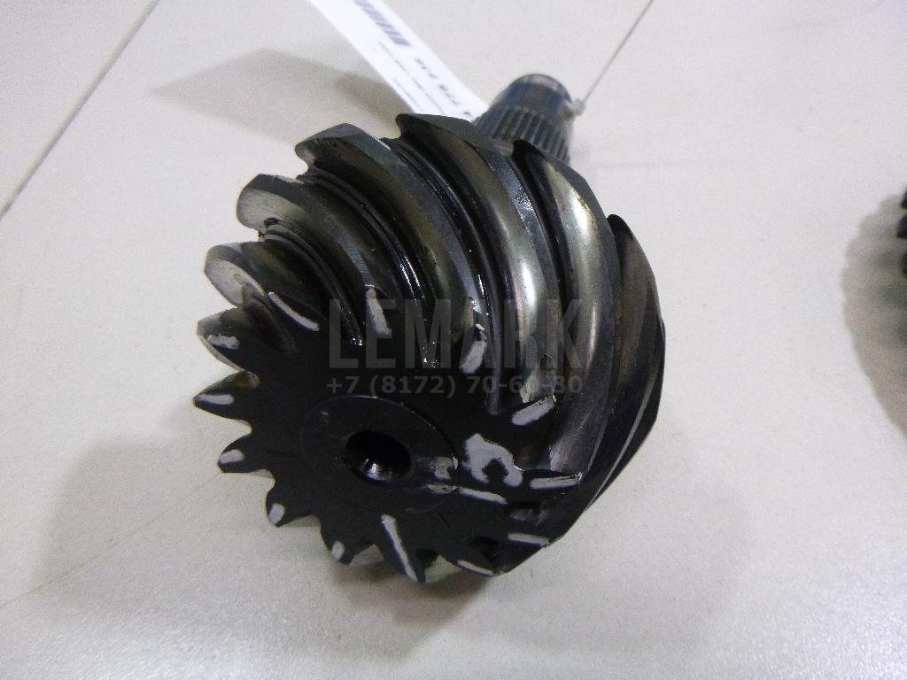 Пара главная