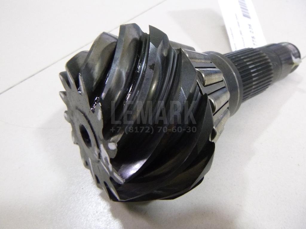 Пара главная