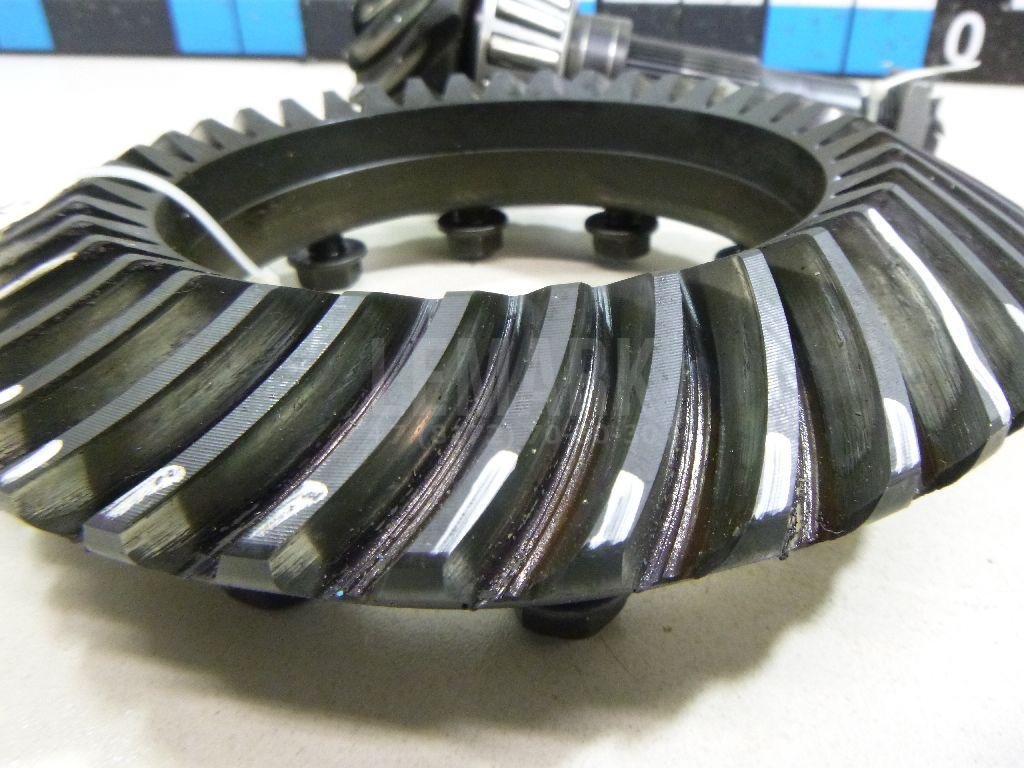 Пара главная