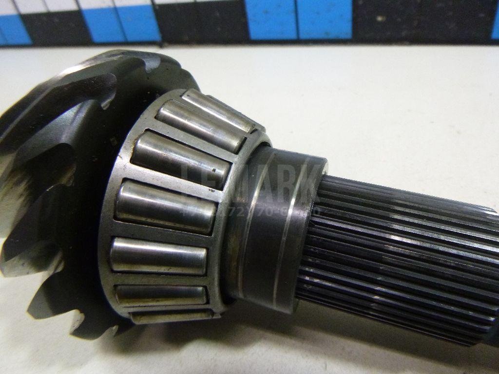 Пара главная