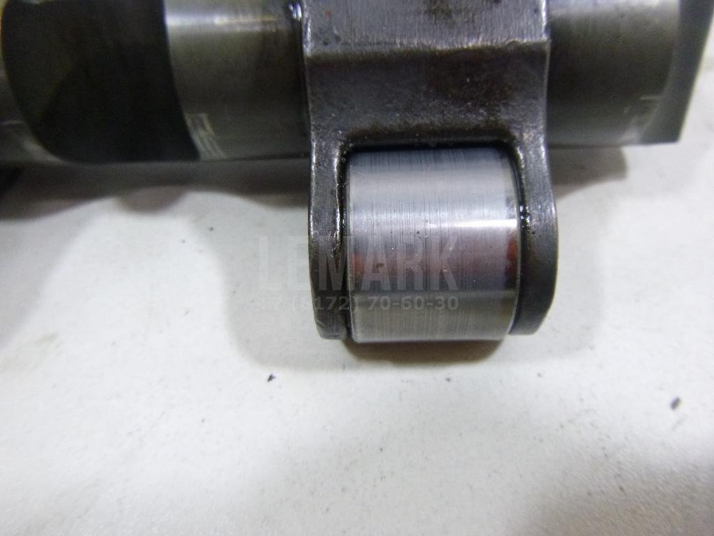 Ось коромысел