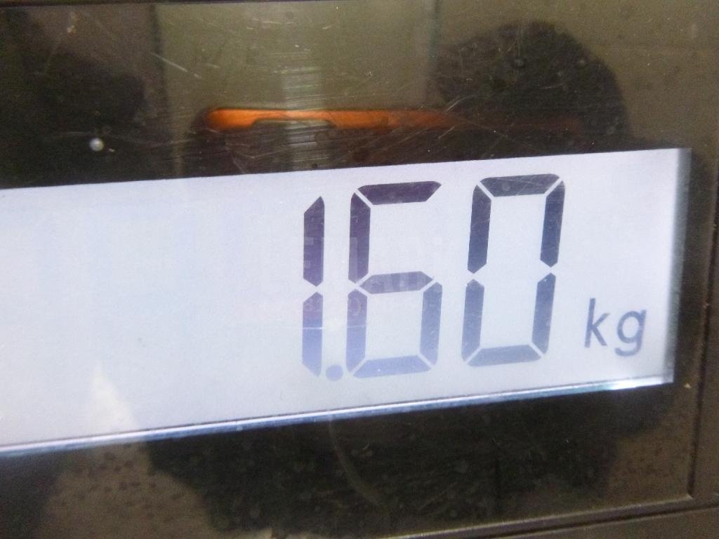 Ось коромысел