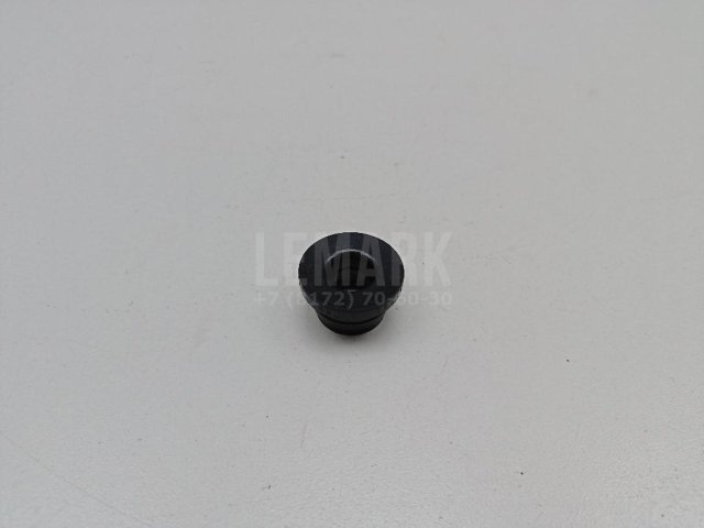 Кольцо уплотнительное (двигатель)