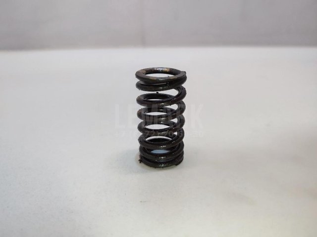 Пружина клапана