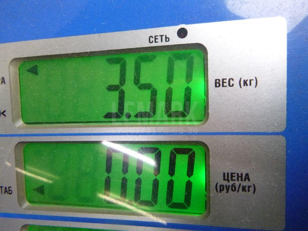 Усилитель тормозов вакуумный