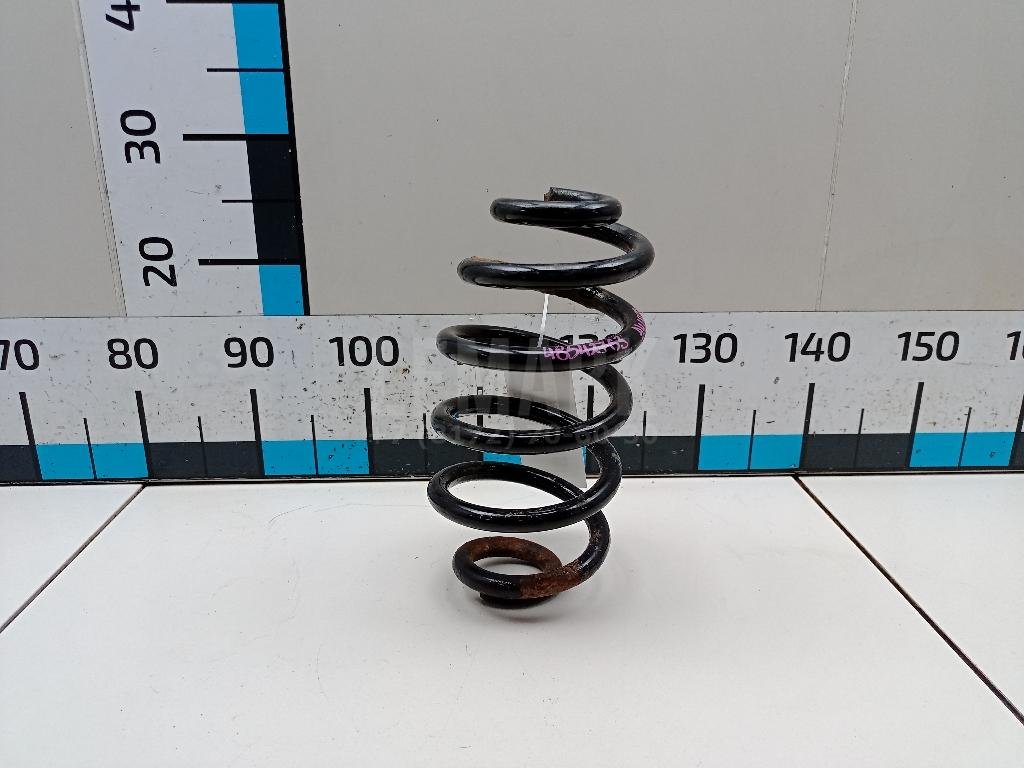 Пружина задняя