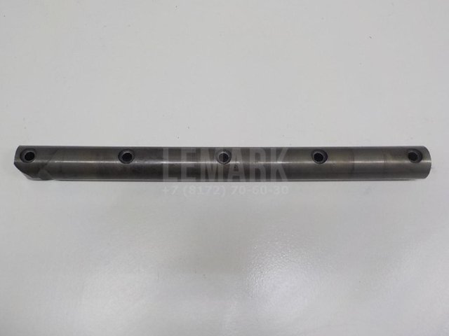 Ось коромысел