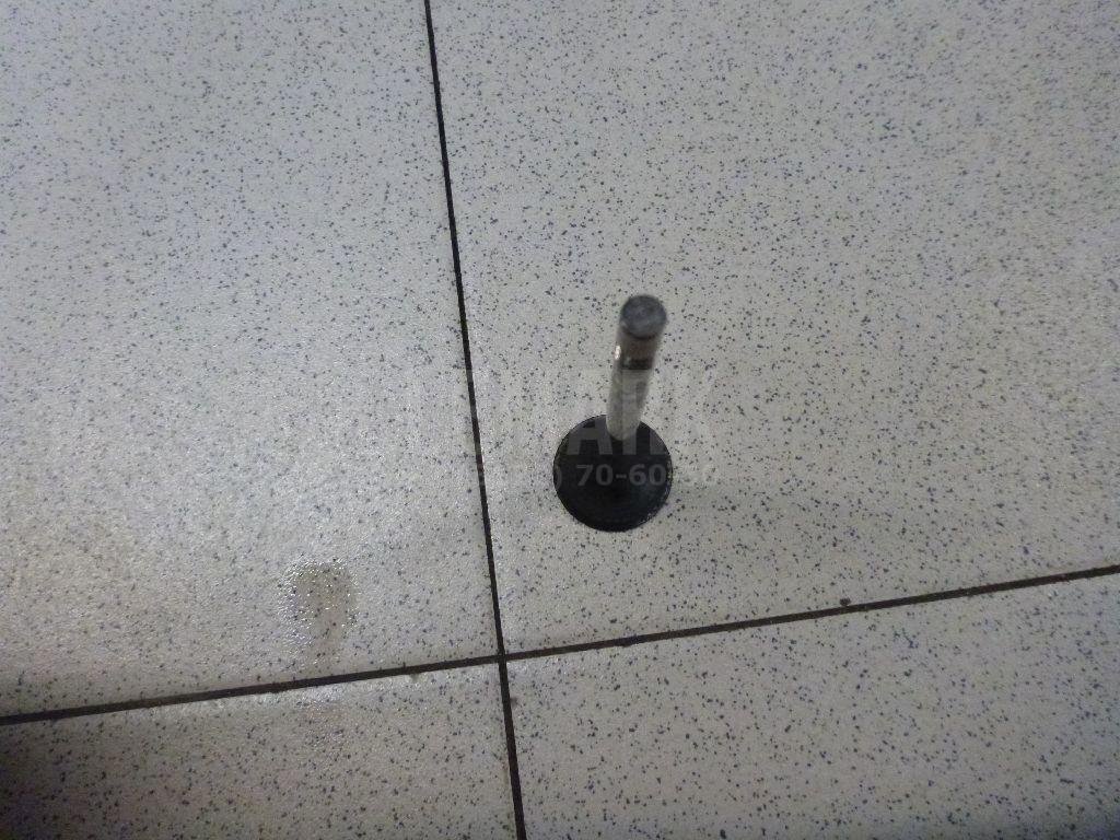 Клапан выпускной для  Audi 80/90 [B4] 1991-1995