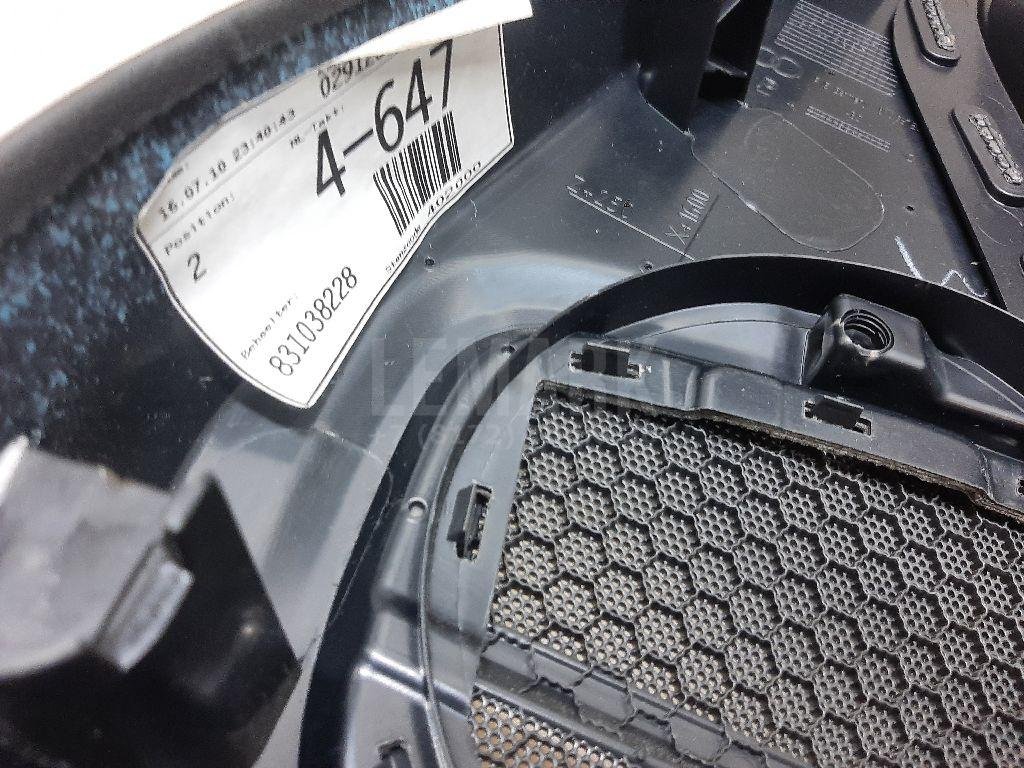 Обшивка двери задней левой