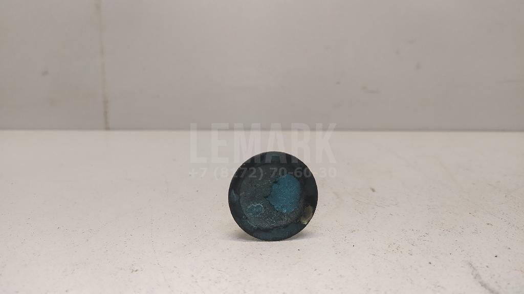 Клапан впускной для  Audi A3 (8Y) 2020