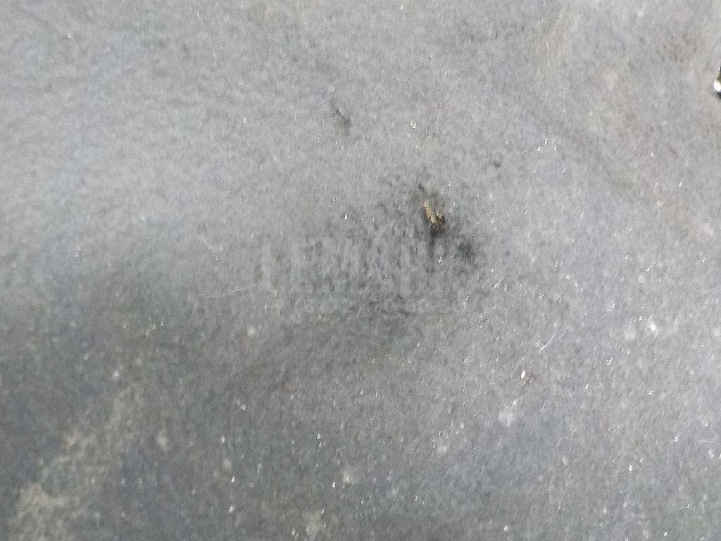 Шумоизоляция капота