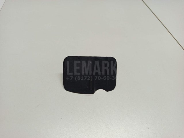 Заглушка КПП