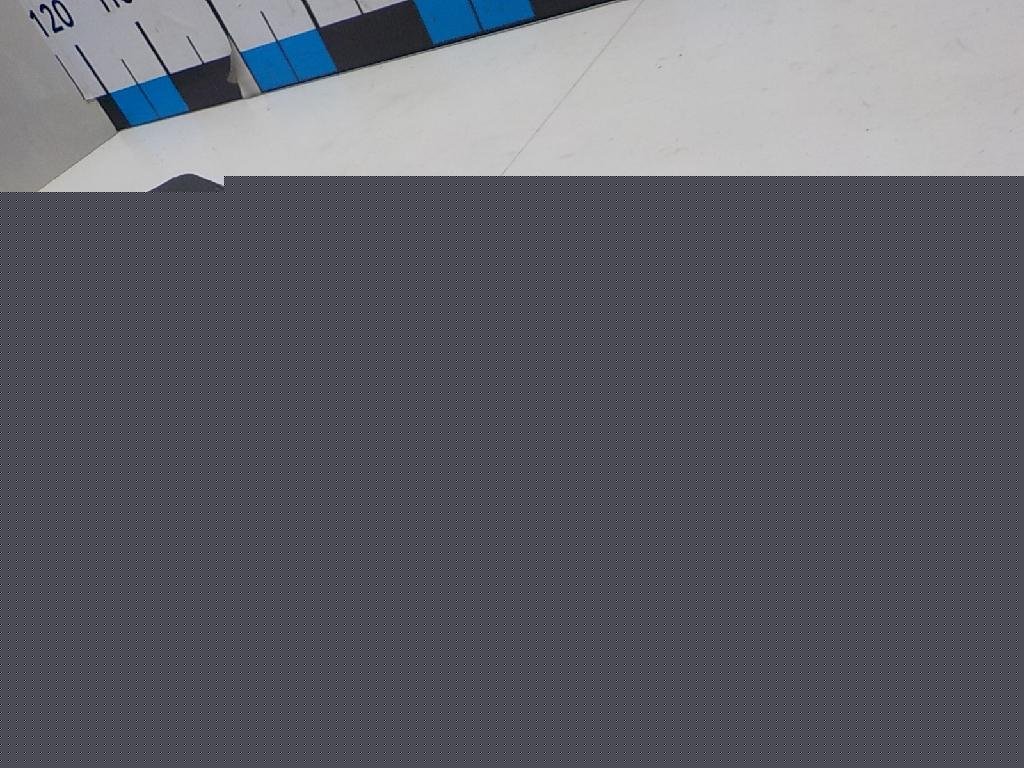 Накладка (кузов внутри)