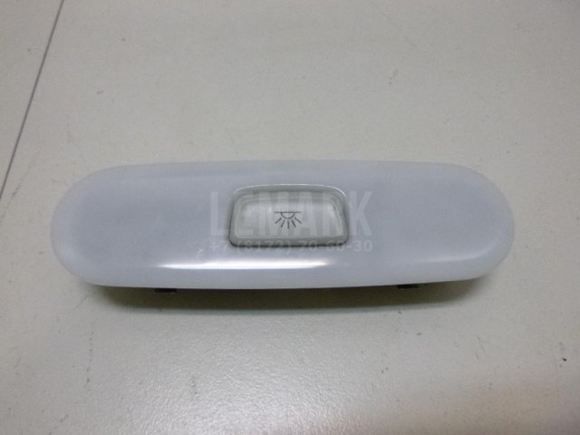 Плафон салонный