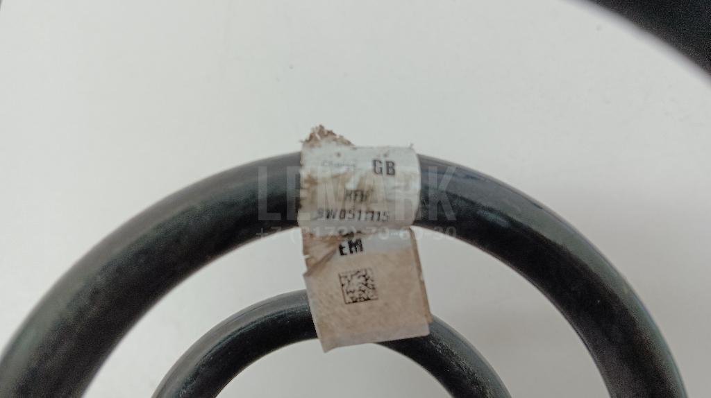 Пружина задняя