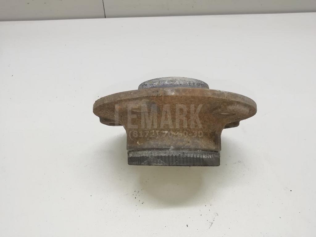 Ступица задняя