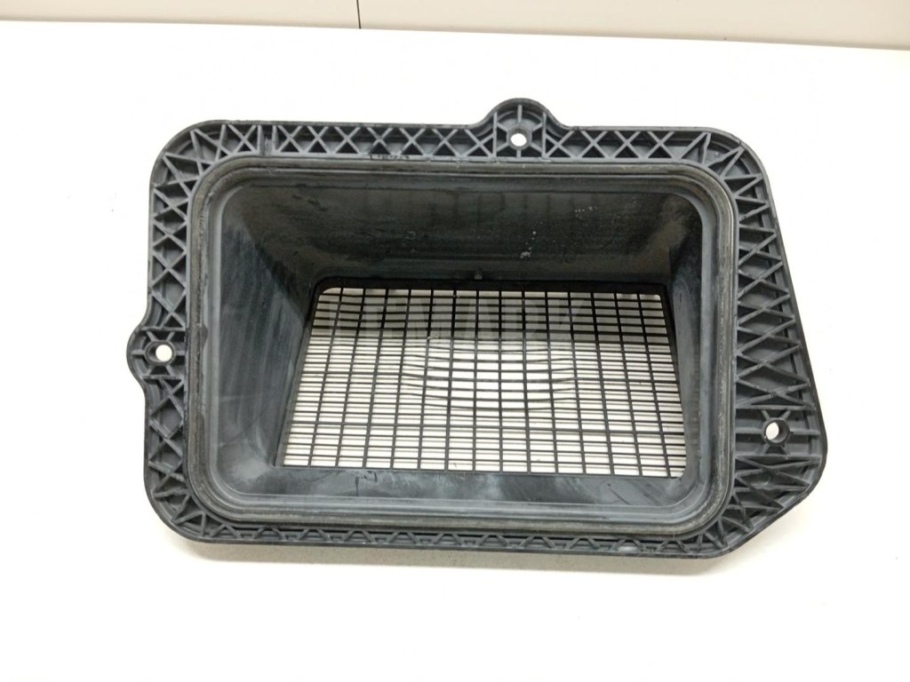 Воздухозаборник (внутри)