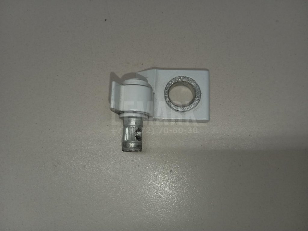 Петля двери задней правой нижняя