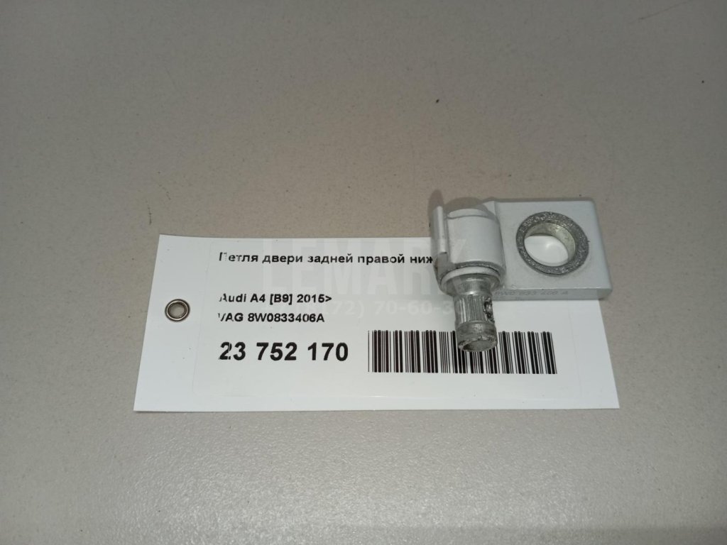 Петля двери задней правой нижняя