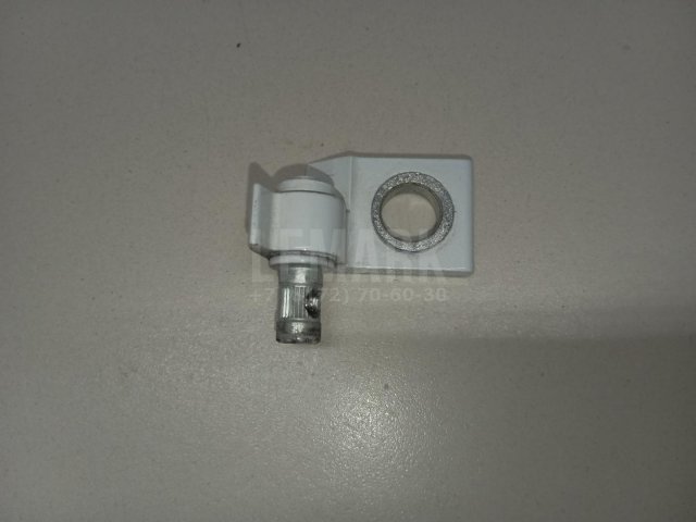 Петля двери задней правой нижняя