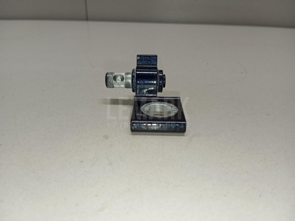 Петля двери задней правой нижняя