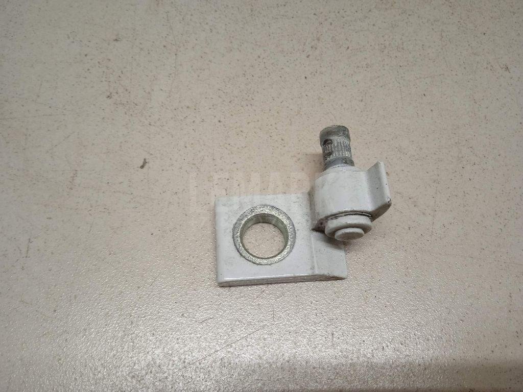 Петля двери задней правой нижняя