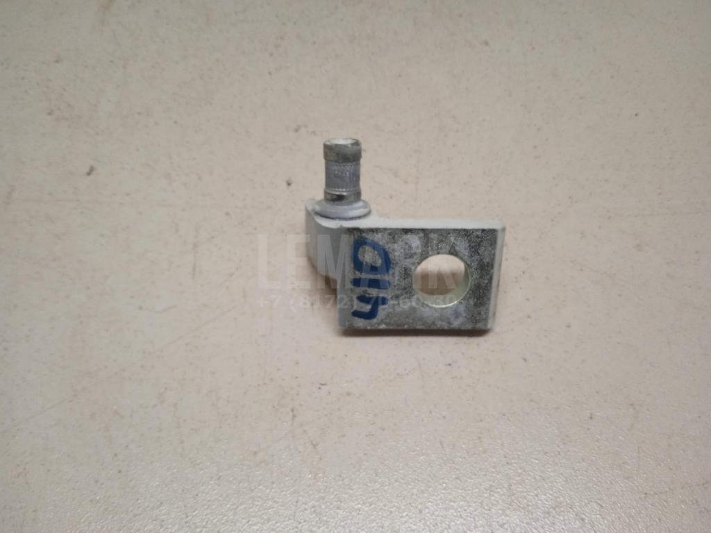 Петля двери задней правой нижняя