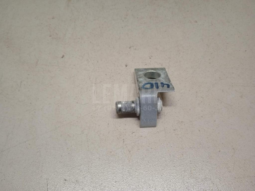 Петля двери задней правой нижняя