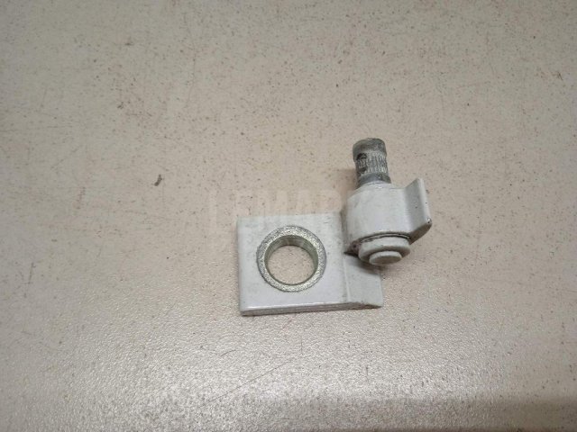 Петля двери задней правой нижняя