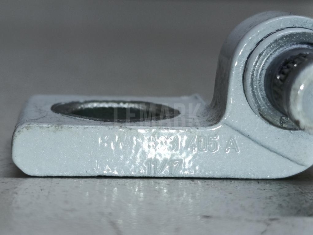 Петля двери задней левой нижняя