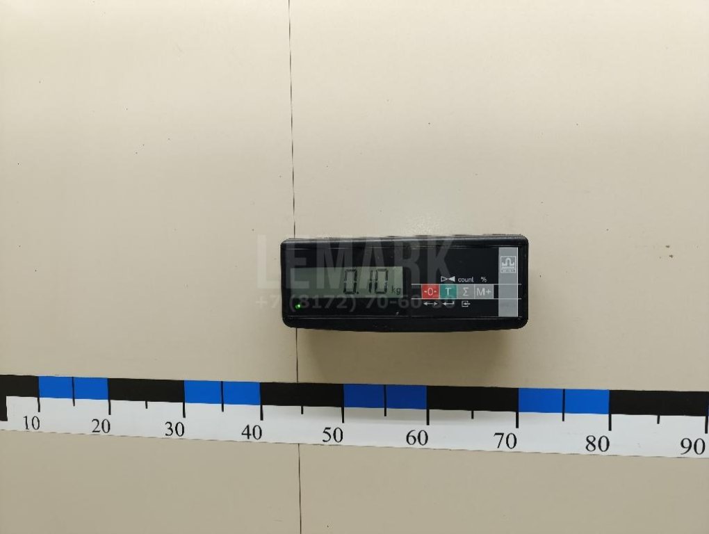 Петля двери задней левой нижняя